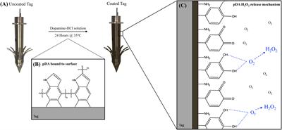 Non-antibiotic antimicrobial polydopamine surface coating to prevent stable biofilm formation on satellite telemetry tags used in cetacean conservation applications